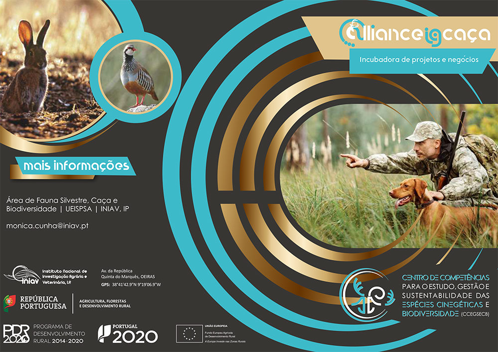 Flyer alliance i9 caca