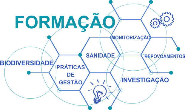 formacao