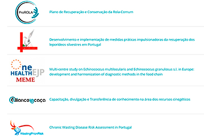 menu Projetos