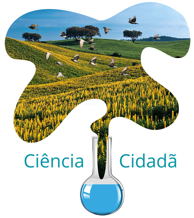 Ciência cidadã