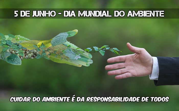 dia ambiente