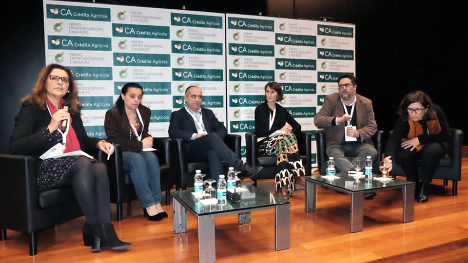 encontro cc1