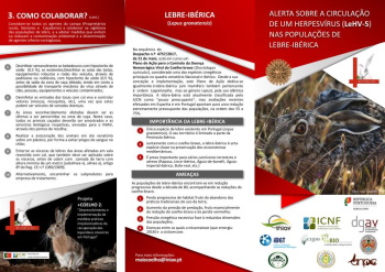 Folheto informativo  sobre a Herpesvirose da Lebre-ibérica: etiologia, lesões, medidas de controlo sanitário e recomendações