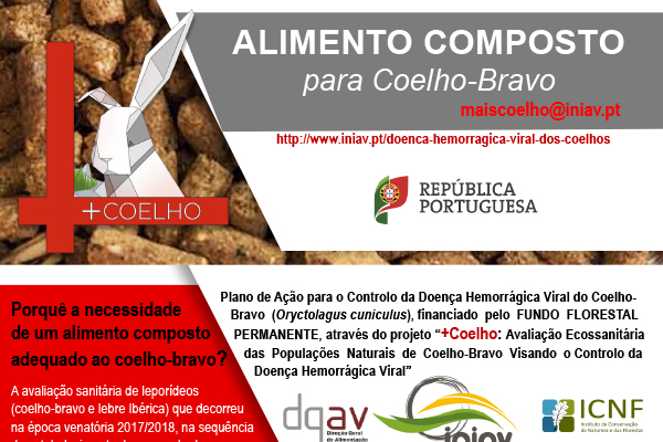 Alimento medicamentoso para coelho-bravo (Projeto + Coelho)