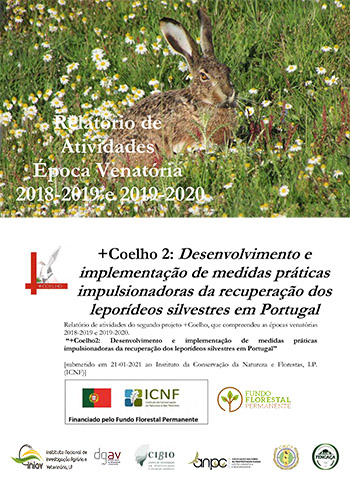 Relatório de Atividades do Projeto +Coelho 2
