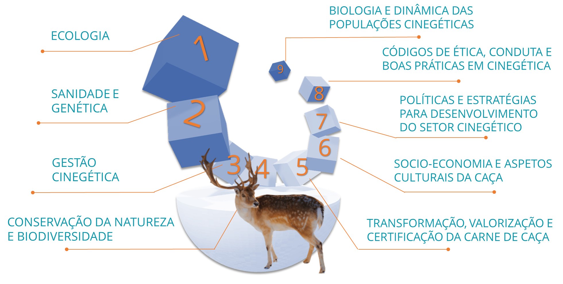 9 Áreas Intervenção
