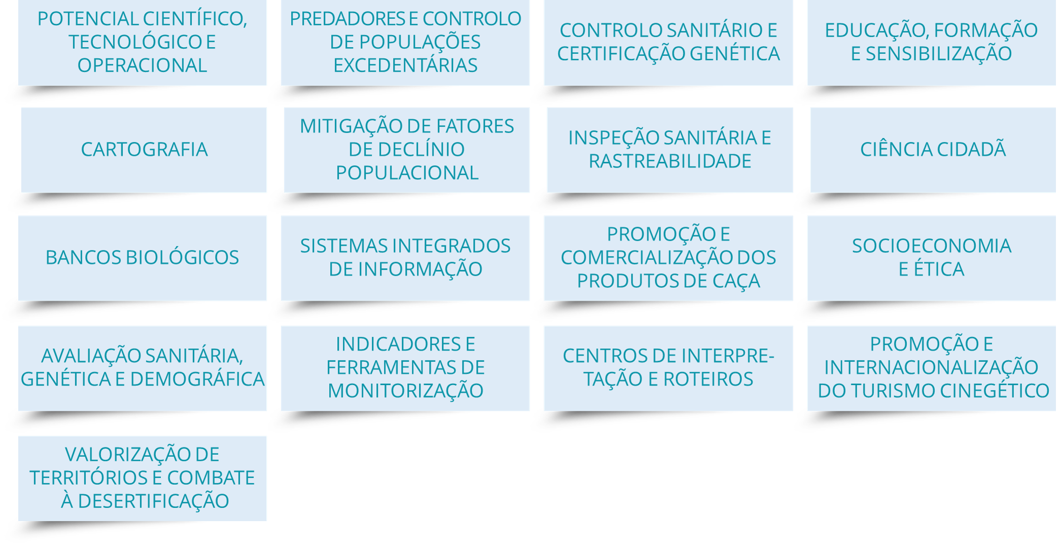 67 Atividades