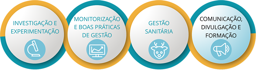 4 Eixos Intervenção