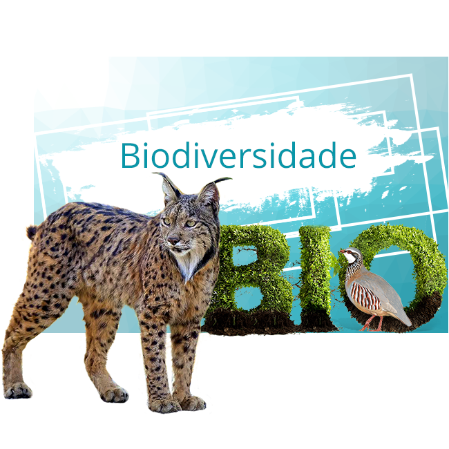 Biodiversidade