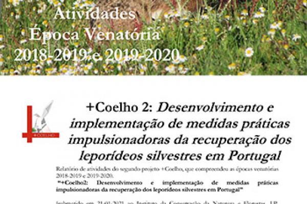 Relatório de Atividades do Projeto +Coelho 2