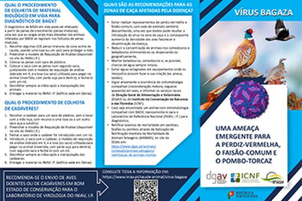 VÍRUS BAGAZA