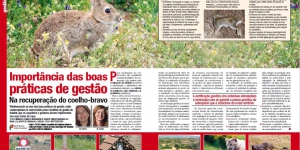 Importância das Boas Práticas de Gestão na Recuperação do Co ... Imagem 1