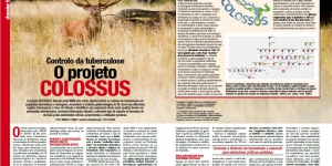 Controlo da tuberculose. O projeto COLOSSUS Imagem 1