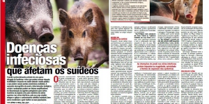 Doenças infeciosas que afetam os suídeos Imagem 1