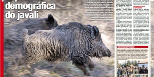 Expansão demográfica do javali Imagem 1