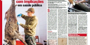 Parasitas no javali com implicações em saúde pública Imagem 1