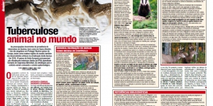 Tuberculose animal no mundo Imagem 1