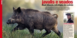 Tuberculose em javalis e veados. Atual situação, estratégias ... Imagem 1