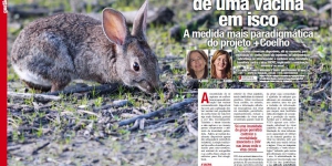Desenvolvimento de uma vacina em isco: a medida mais paradig ... Imagem 1