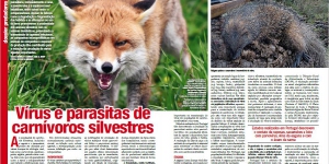 Vírus e parasitas de carnívoros silvestres Imagem 1